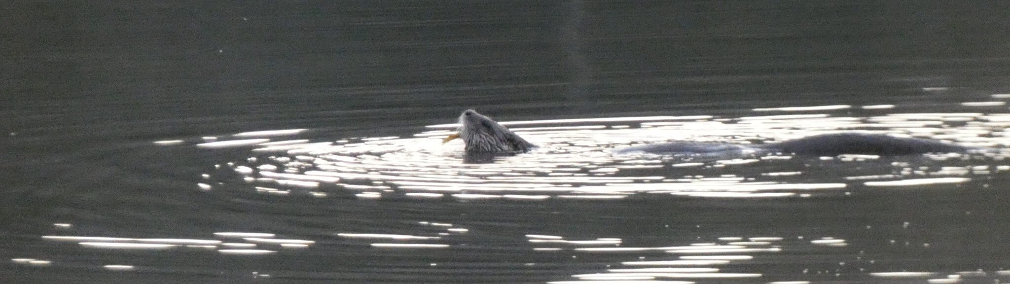 Board of Assessors Warwick, MA
