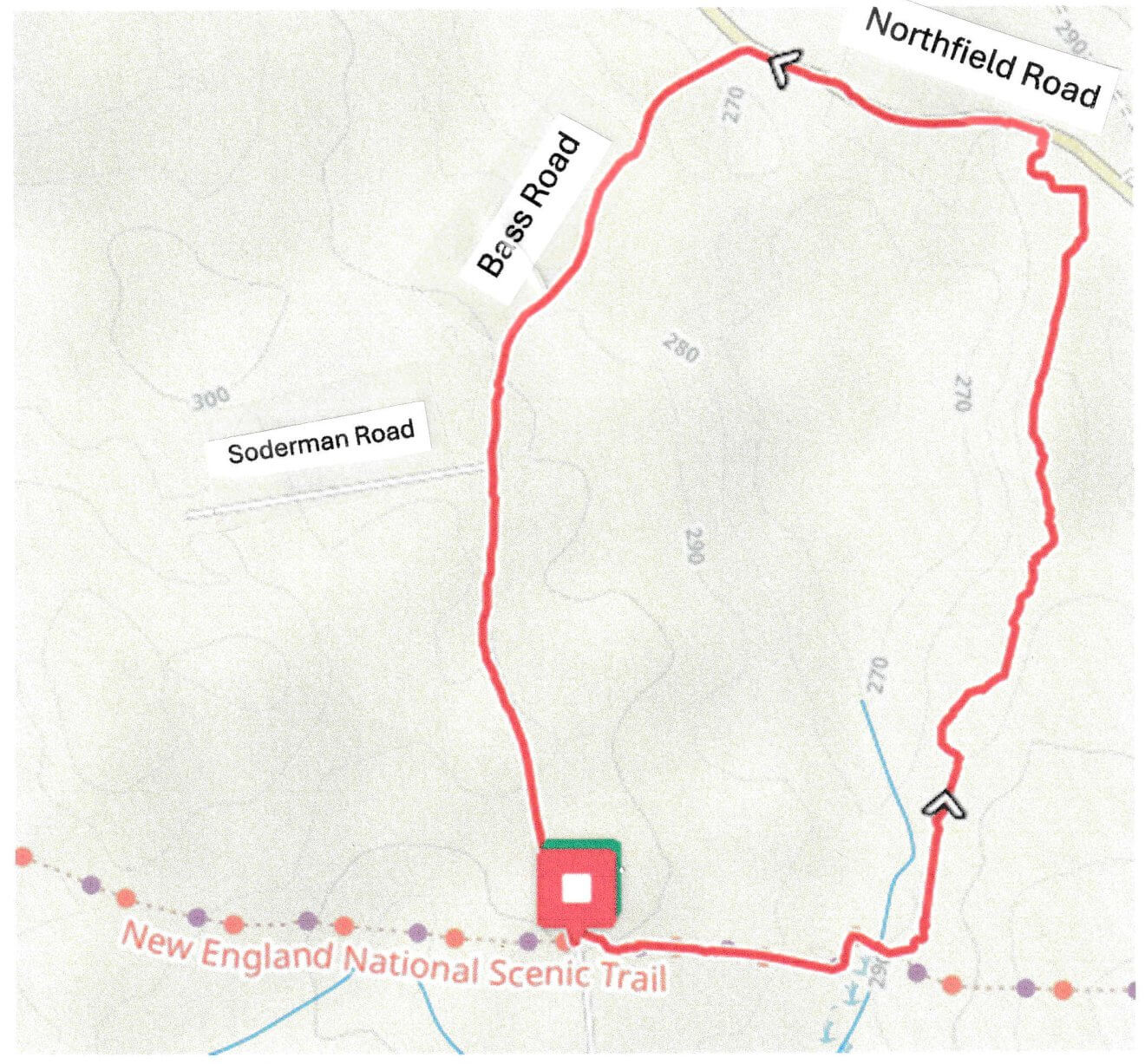 Tall Red Pines Loop – Warwick, MA