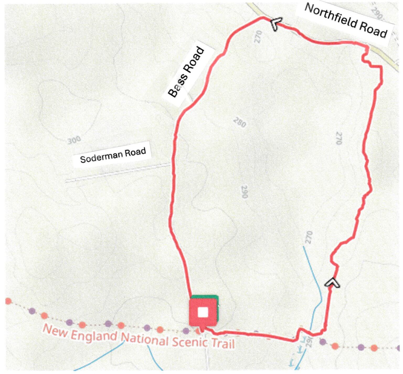 Tall Red Pines Loop – Warwick, MA