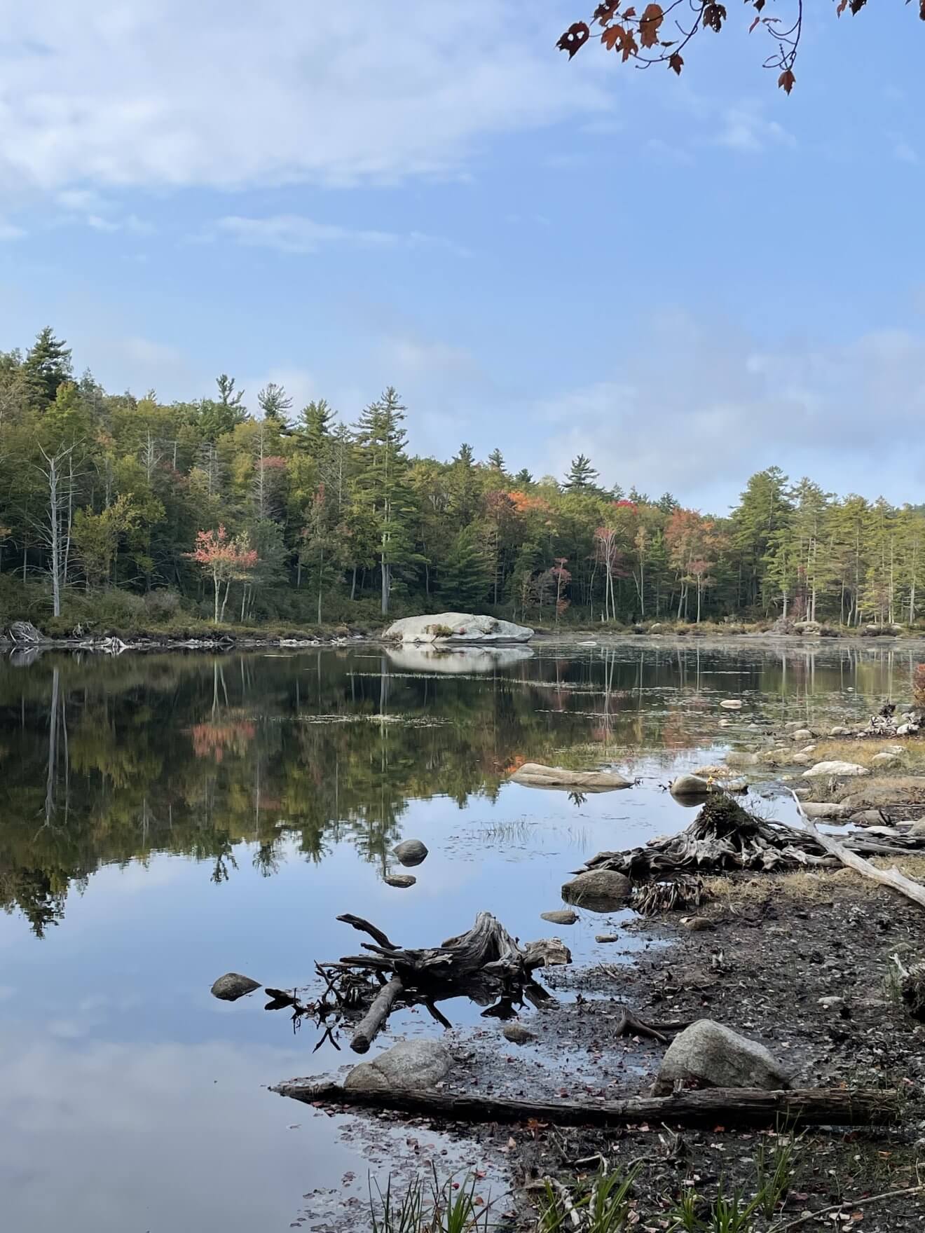 Stevens Swamp Loop – Warwick, MA